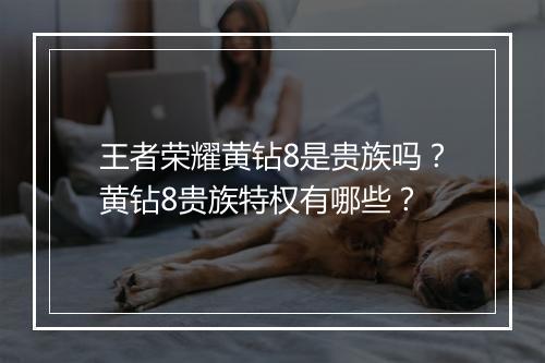 王者荣耀黄钻8是贵族吗?黄钻8贵族特权有哪些?