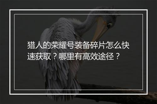 猎人的荣耀号装备碎片怎么快速获取?哪里有高效途径?