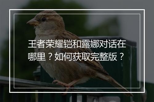 王者荣耀铠和露娜对话在哪里?如何获取完整版?