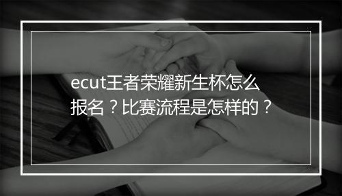 ecut王者荣耀新生杯怎么报名?比赛流程是怎样的?