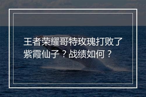 王者荣耀哥特玫瑰打败了紫霞仙子？战绩如何？