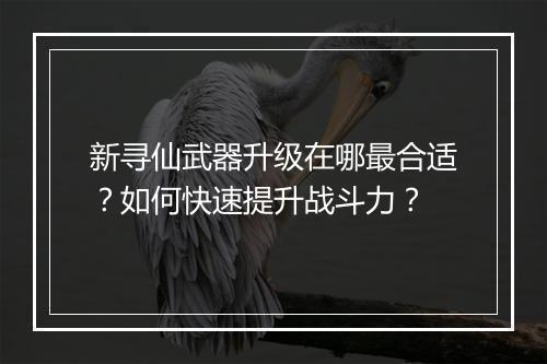 新寻仙武器升级在哪最合适？如何快速提升战斗力？