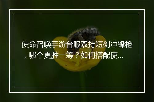 使命召唤手游台服双持短剑冲锋枪,哪个更胜一筹?如何搭配使用?