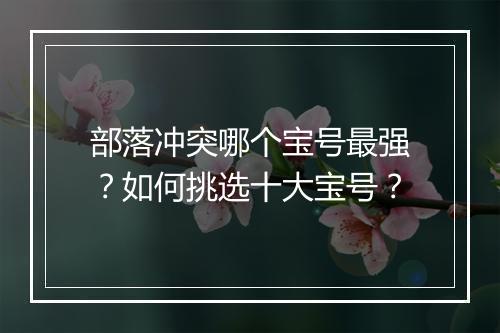 部落冲突哪个宝号最强?如何挑选十大宝号?