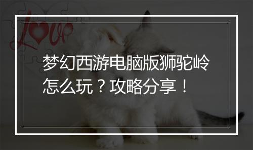 梦幻西游电脑版狮驼岭怎么玩?攻略分享!