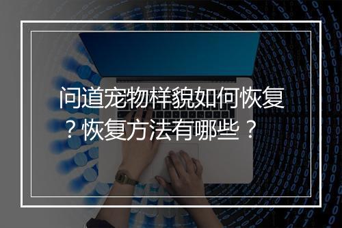 问道宠物样貌如何恢复?恢复方法有哪些?