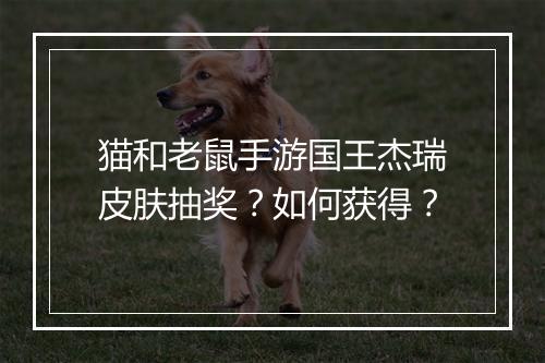 猫和老鼠手游国王杰瑞皮肤抽奖？如何获得？