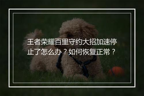 王者荣耀百里守约大招加速停止了怎么办？如何恢复正常？