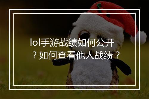 lol手游战绩如何公开？如何查看他人战绩？