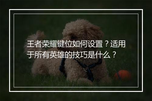 王者荣耀键位如何设置？适用于所有英雄的技巧是什么？