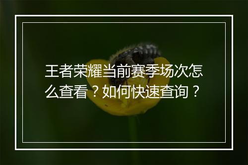 王者荣耀当前赛季场次怎么查看?如何快速查询?