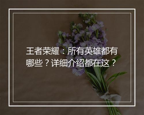 王者荣耀:所有英雄都有哪些?详细介绍都在这?