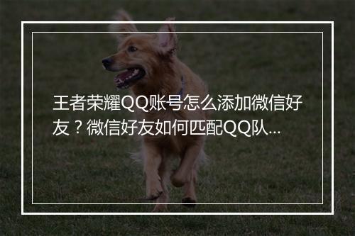王者荣耀QQ账号怎么添加微信好友?微信好友如何匹配QQ队友?