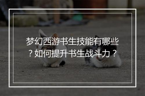 梦幻西游书生技能有哪些？如何提升书生战斗力？