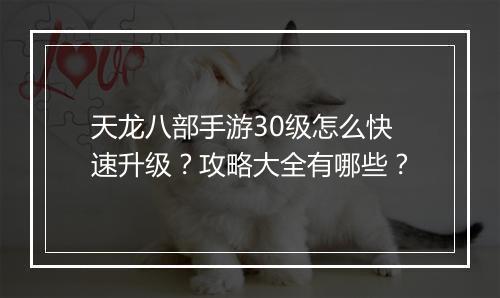 天龙八部手游30级怎么快速升级？攻略大全有哪些？