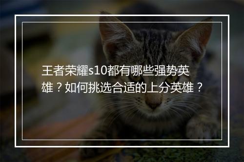 王者荣耀s10都有哪些强势英雄?如何挑选合适的上分英雄?