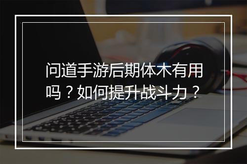 问道手游后期体木有用吗?如何提升战斗力?