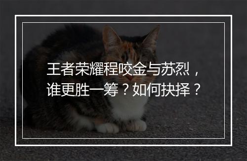 王者荣耀程咬金与苏烈，谁更胜一筹？如何抉择？