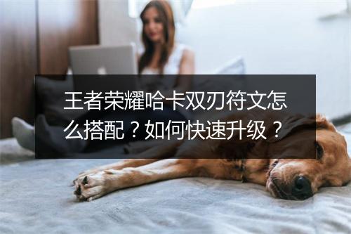 王者荣耀哈卡双刃符文怎么搭配?如何快速升级?