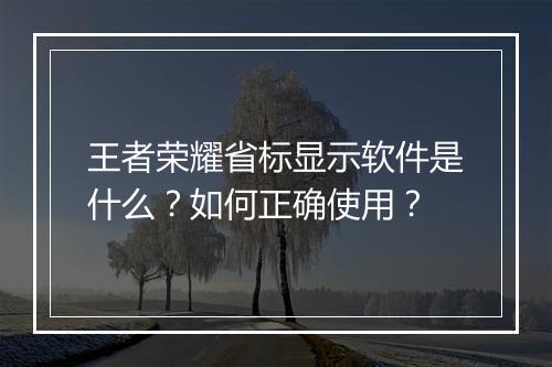 王者荣耀省标显示软件是什么?如何正确使用?