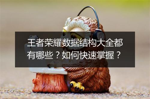 王者荣耀数据结构大全都有哪些？如何快速掌握？