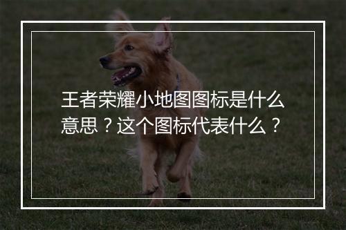王者荣耀小地图图标是什么意思？这个图标代表什么？