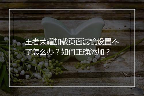 王者荣耀加载页面滤镜设置不了怎么办?如何正确添加?