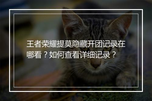 王者荣耀提莫隐藏开团记录在哪看?如何查看详细记录?