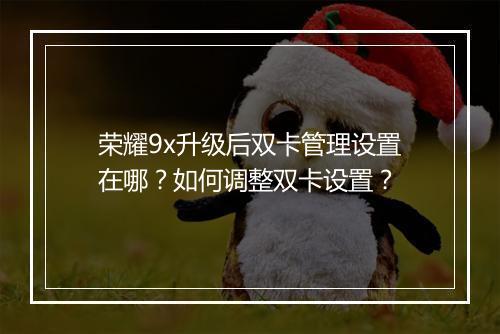 荣耀9x升级后双卡管理设置在哪?如何调整双卡设置?