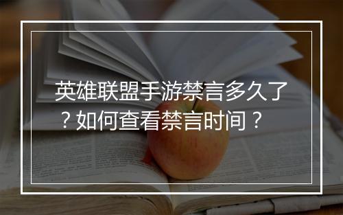 英雄联盟手游禁言多久了?如何查看禁言时间?