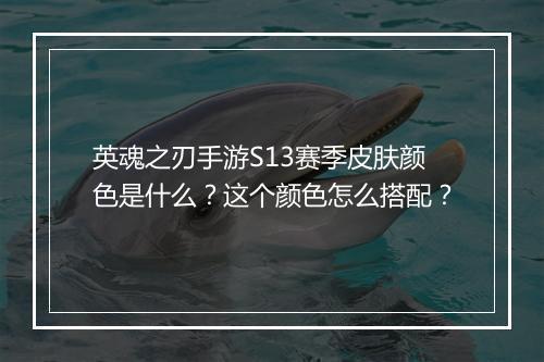 英魂之刃手游S13赛季皮肤颜色是什么?这个颜色怎么搭配?