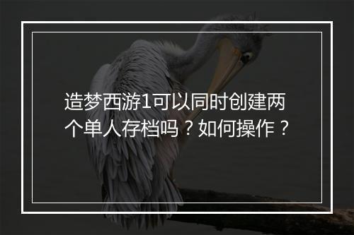 造梦西游1可以同时创建两个单人存档吗?如何操作?