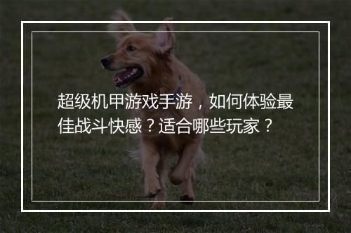 超级机甲游戏手游，如何体验最佳战斗快感？适合哪些玩家？