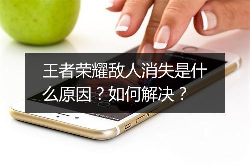 王者荣耀敌人消失是什么原因?如何解决?
