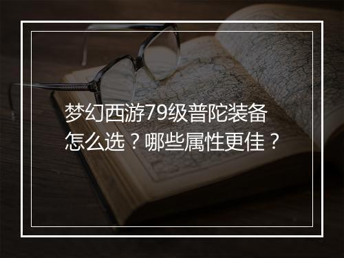 梦幻西游79级普陀装备怎么选?哪些属性更佳?