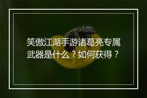 笑傲江湖手游诸葛亮专属武器是什么?如何获得?