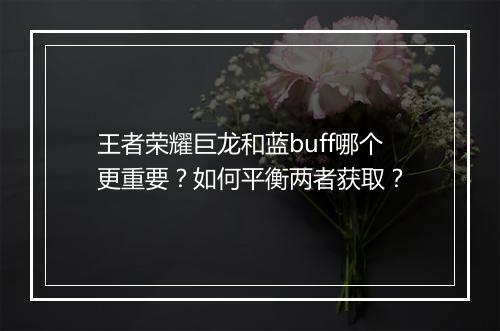 王者荣耀巨龙和蓝buff哪个更重要？如何平衡两者获取？