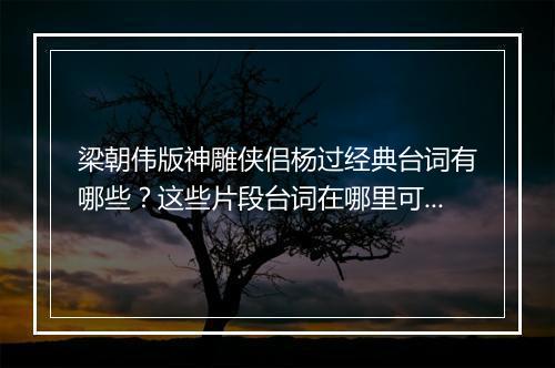 梁朝伟版神雕侠侣杨过经典台词有哪些?这些片段台词在哪里可以找到?
