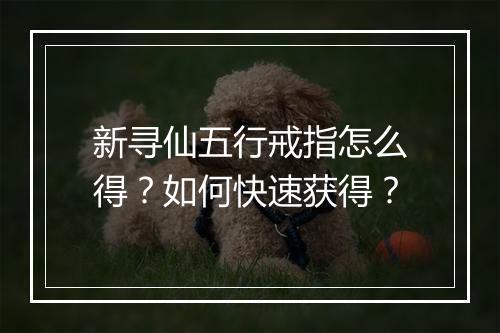 新寻仙五行戒指怎么得?如何快速获得?