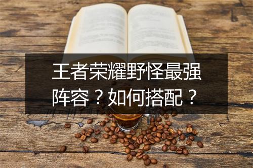 王者荣耀野怪最强阵容?如何搭配?