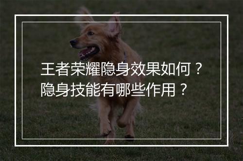 王者荣耀隐身效果如何?隐身技能有哪些作用?