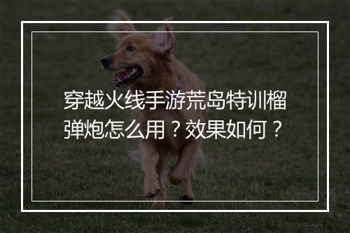 穿越火线手游荒岛特训榴弹炮怎么用?效果如何?