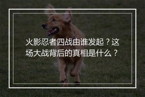 火影忍者四战由谁发起?这场大战背后的真相是什么?