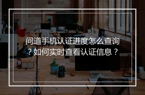 问道手机认证进度怎么查询?如何实时查看认证信息?