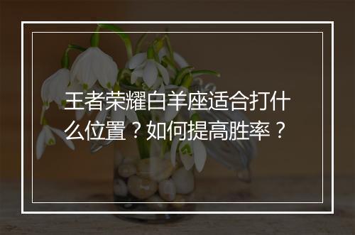 王者荣耀白羊座适合打什么位置?如何提高胜率?