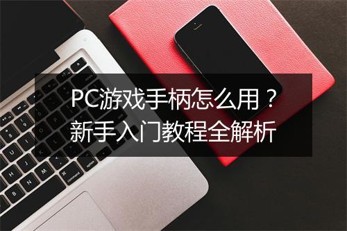PC游戏手柄怎么用?新手入门教程全解析