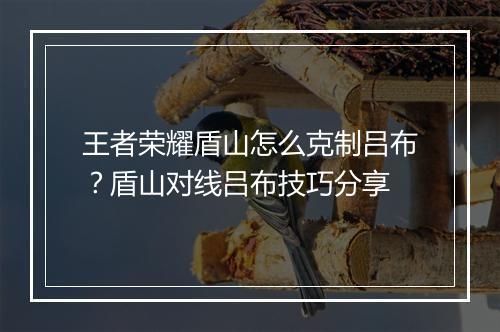 王者荣耀盾山怎么克制吕布?盾山对线吕布技巧分享