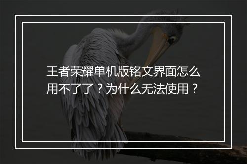 王者荣耀单机版铭文界面怎么用不了了?为什么无法使用?