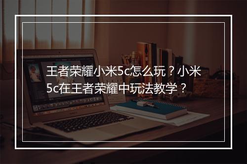 王者荣耀小米5c怎么玩?小米5c在王者荣耀中玩法教学?