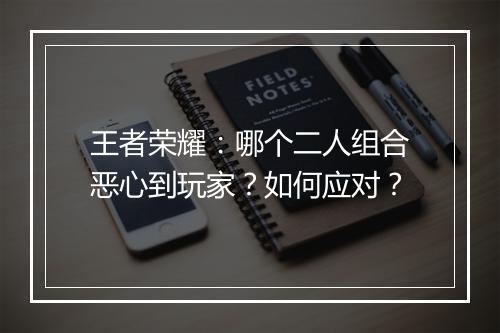 王者荣耀:哪个二人组合恶心到玩家?如何应对?